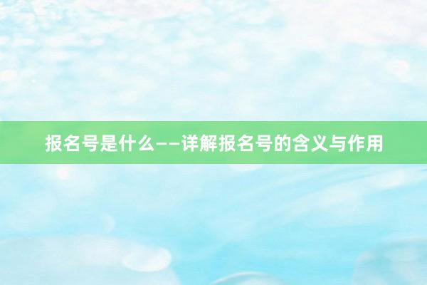 报名号是什么——详解报名号的含义与作用