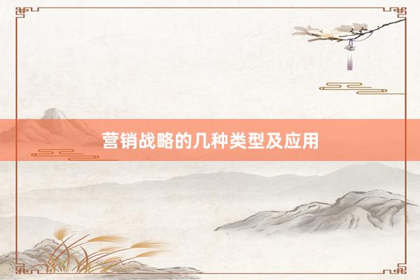 营销战略的几种类型及应用