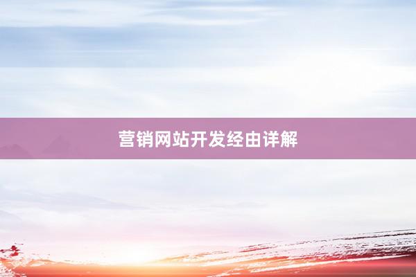 营销网站开发经由详解